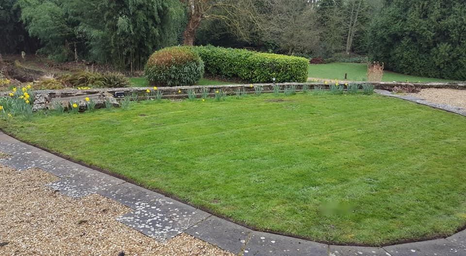 Finished lawn with gravel and planted borders in South Somerset.