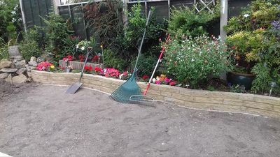 Cleared garden & planted border.